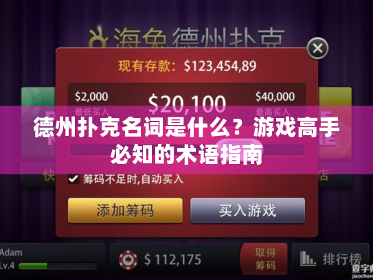 德州扑克名词是什么？游戏高手必知的术语指南