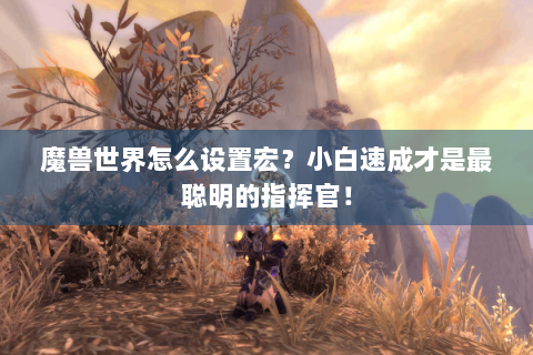 魔兽世界怎么设置宏？小白速成才是最聪明的指挥官！