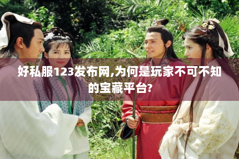 好私服123发布网,为何是玩家不可不知的宝藏平台?