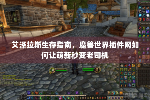 艾泽拉斯生存指南，魔兽世界插件网如何让萌新秒变老司机