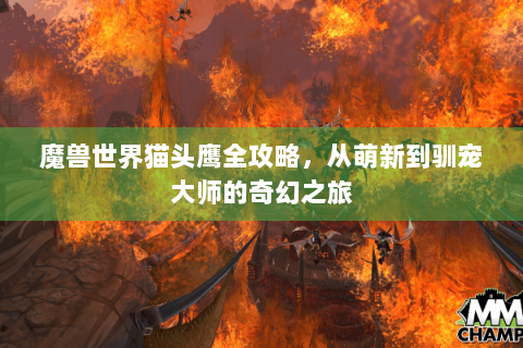 魔兽世界猫头鹰全攻略，从萌新到驯宠大师的奇幻之旅