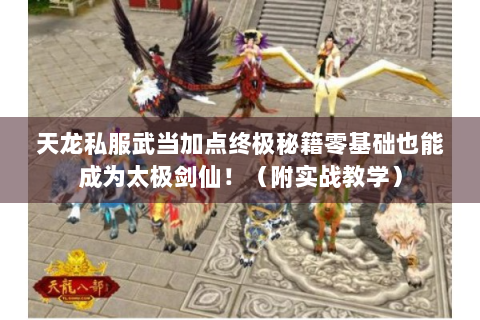 天龙私服武当加点终极秘籍零基础也能成为太极剑仙！（附实战教学）