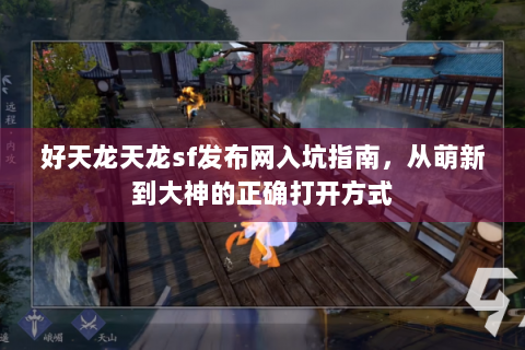 好天龙天龙sf发布网入坑指南，从萌新到大神的正确打开方式