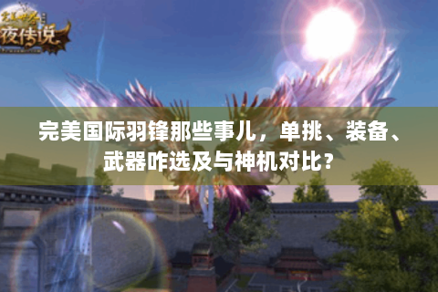 完美国际羽锋那些事儿，单挑、装备、武器咋选及与神机对比？