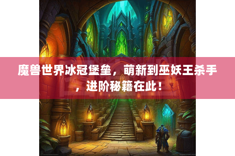 魔兽世界冰冠堡垒，萌新到巫妖王杀手，进阶秘籍在此！