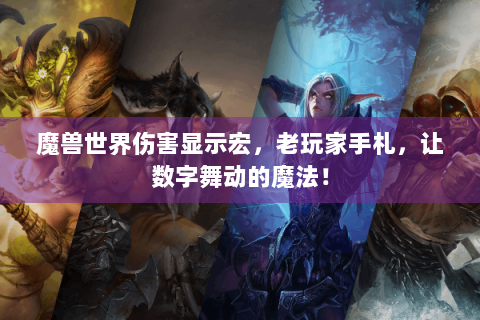 魔兽世界伤害显示宏，老玩家手札，让数字舞动的魔法！