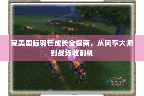 完美国际羽芒成长全指南，从风筝大师到战场收割机