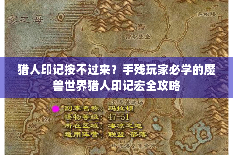 猎人印记按不过来？手残玩家必学的魔兽世界猎人印记宏全攻略
