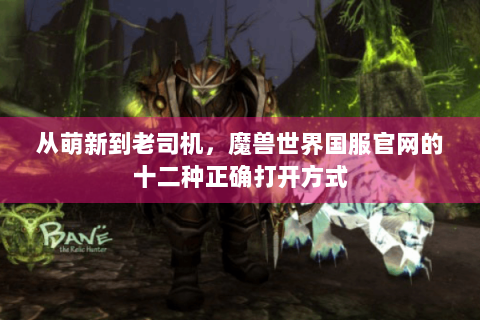 从萌新到老司机，魔兽世界国服官网的十二种正确打开方式