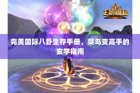 完美国际八卦生存手册，菜鸟变高手的玄学指南