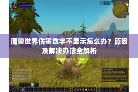 魔兽世界伤害数字不显示怎么办？原因及解决办法全解析