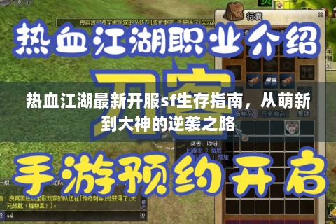 热血江湖最新开服sf生存指南，从萌新到大神的逆袭之路