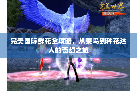 完美国际鲜花全攻略，从菜鸟到种花达人的奇幻之旅