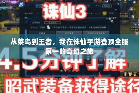 从菜鸟到王者，我在诛仙手游登顶全服第一的奇幻之旅