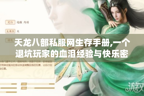 天龙八部私服网生存手册,一个退坑玩家的血泪经验与快乐密码