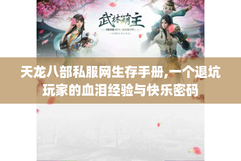 天龙八部私服网生存手册,一个退坑玩家的血泪经验与快乐密码