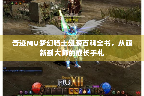 奇迹MU梦幻骑士翅膀百科全书，从萌新到大师的成长手札