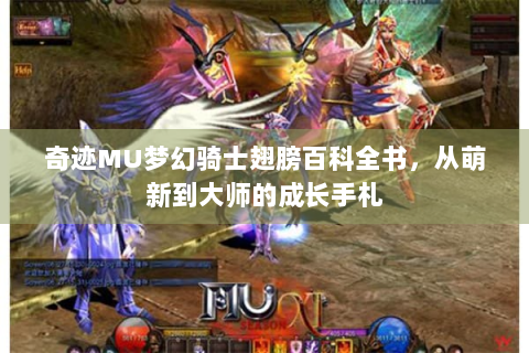 奇迹MU梦幻骑士翅膀百科全书，从萌新到大师的成长手札