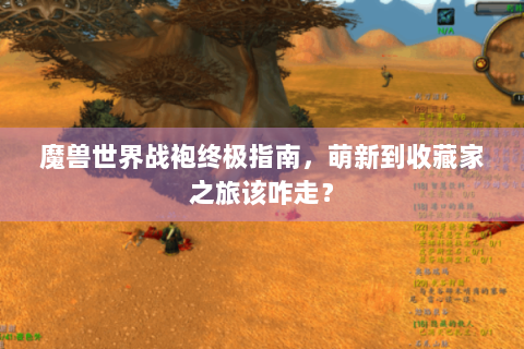 魔兽世界战袍终极指南，萌新到收藏家之旅该咋走？