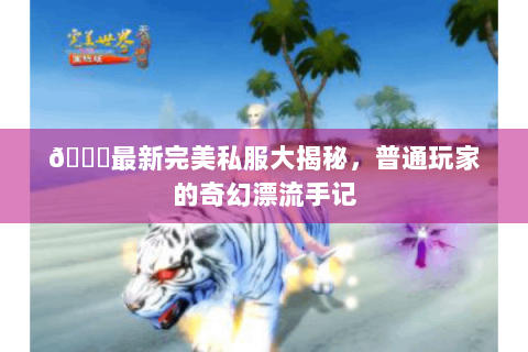 🌟最新完美私服大揭秘，普通玩家的奇幻漂流手记