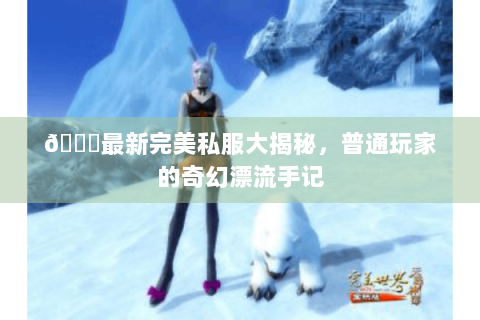 🌟最新完美私服大揭秘，普通玩家的奇幻漂流手记
