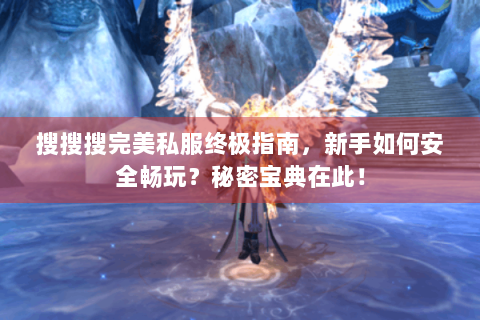 搜搜搜完美私服终极指南，新手如何安全畅玩？秘密宝典在此！