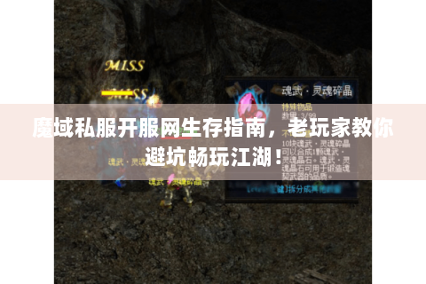 魔域私服开服网生存指南，老玩家教你避坑畅玩江湖！