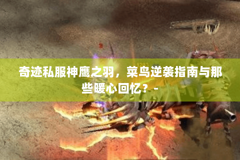 奇迹私服神鹰之羽，菜鸟逆袭指南与那些暖心回忆？-