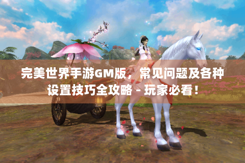 完美世界手游GM版，常见问题及各种设置技巧全攻略 - 玩家必看！