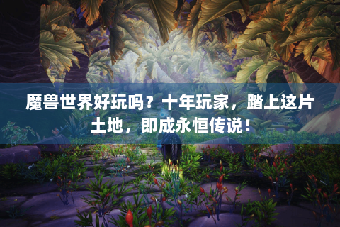 魔兽世界好玩吗？十年玩家，踏上这片土地，即成永恒传说！