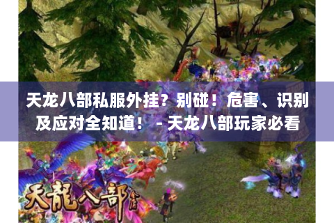 天龙八部私服外挂？别碰！危害、识别及应对全知道！ - 天龙八部玩家必看