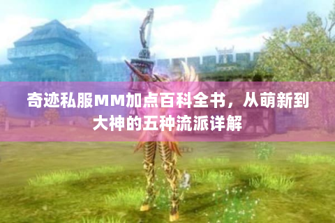 奇迹私服MM加点百科全书，从萌新到大神的五种流派详解