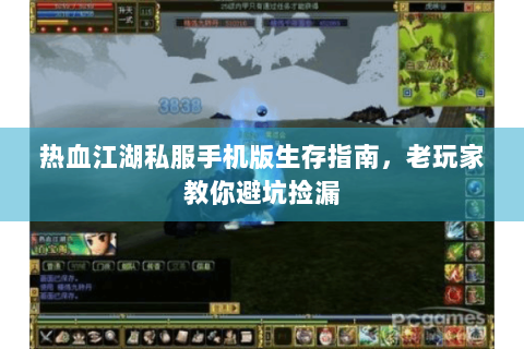 热血江湖私服手机版生存指南，老玩家教你避坑捡漏