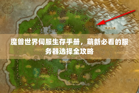魔兽世界伺服生存手册，萌新必看的服务器选择全攻略