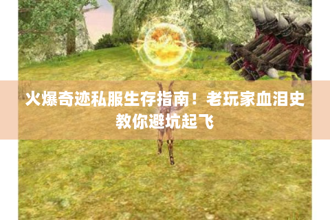 火爆奇迹私服生存指南！老玩家血泪史教你避坑起飞