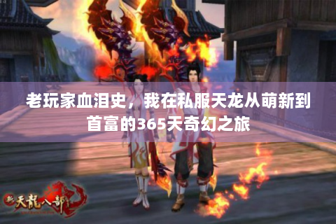 老玩家血泪史，我在私服天龙从萌新到首富的365天奇幻之旅