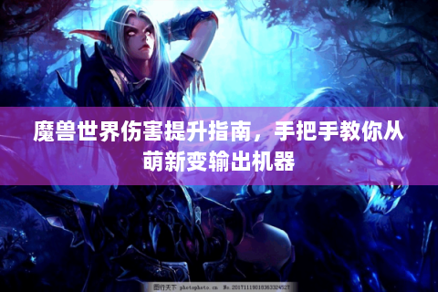魔兽世界伤害提升指南，手把手教你从萌新变输出机器