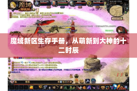 魔域新区生存手册，从萌新到大神的十二时辰