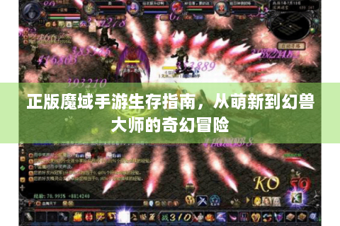 正版魔域手游生存指南，从萌新到幻兽大师的奇幻冒险