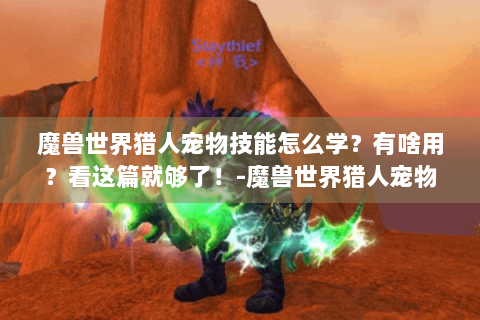 魔兽世界猎人宠物技能怎么学？有啥用？看这篇就够了！-魔兽世界猎人宠物技能