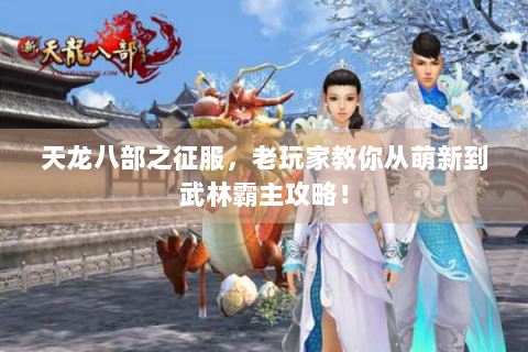 天龙八部之征服，老玩家教你从萌新到武林霸主攻略！