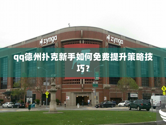 qq德州扑克新手如何免费提升策略技巧？