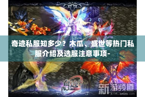 奇迹私服知多少？木瓜、盛世等热门私服介绍及选服注意事项-