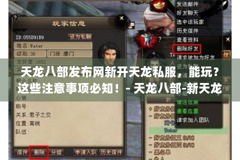 天龙八部发布网新开天龙私服，能玩？这些注意事项必知！- 天龙八部-新天龙私服