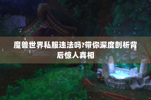 魔兽世界私服违法吗?带你深度剖析背后惊人真相