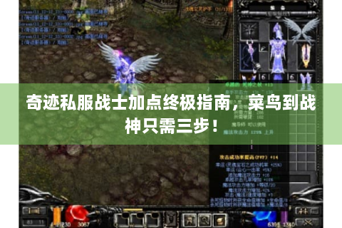 奇迹私服战士加点终极指南，菜鸟到战神只需三步！