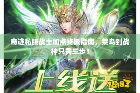 奇迹私服战士加点终极指南，菜鸟到战神只需三步！