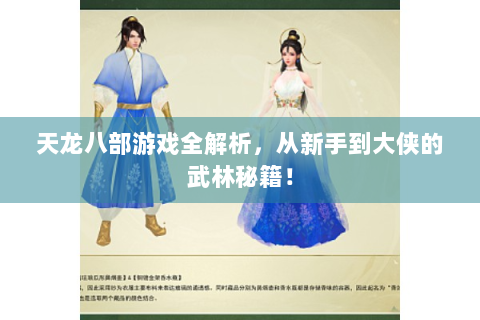 天龙八部游戏全解析，从新手到大侠的武林秘籍！