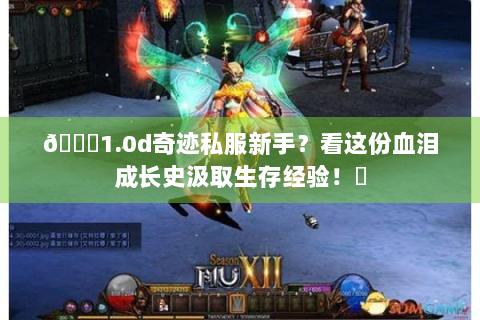 📚1.0d奇迹私服新手？看这份血泪成长史汲取生存经验！✨