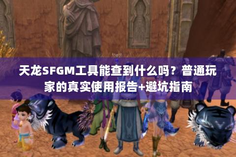 天龙SFGM工具能查到什么吗？普通玩家的真实使用报告+避坑指南